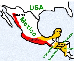 Klick mich und ich werde gross...