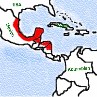 Klick mich und ich werde gross...