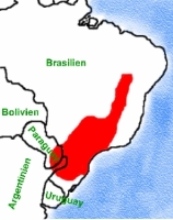 Klick mich und ich werde gross...